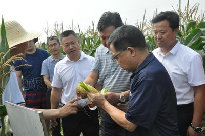 科技賦能農(nóng)業(yè)，鮮食玉米產(chǎn)業(yè)大會(huì)在武漢成功舉辦